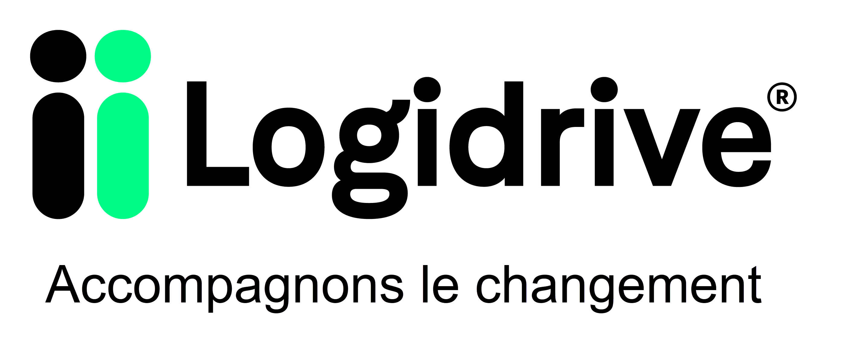 Logidrive-Logo-2019 - Accompagnons.png (79 KB)